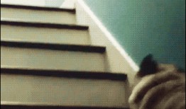 吃瓜魔性视频下载免费安装,免费安装，吃瓜乐趣无限